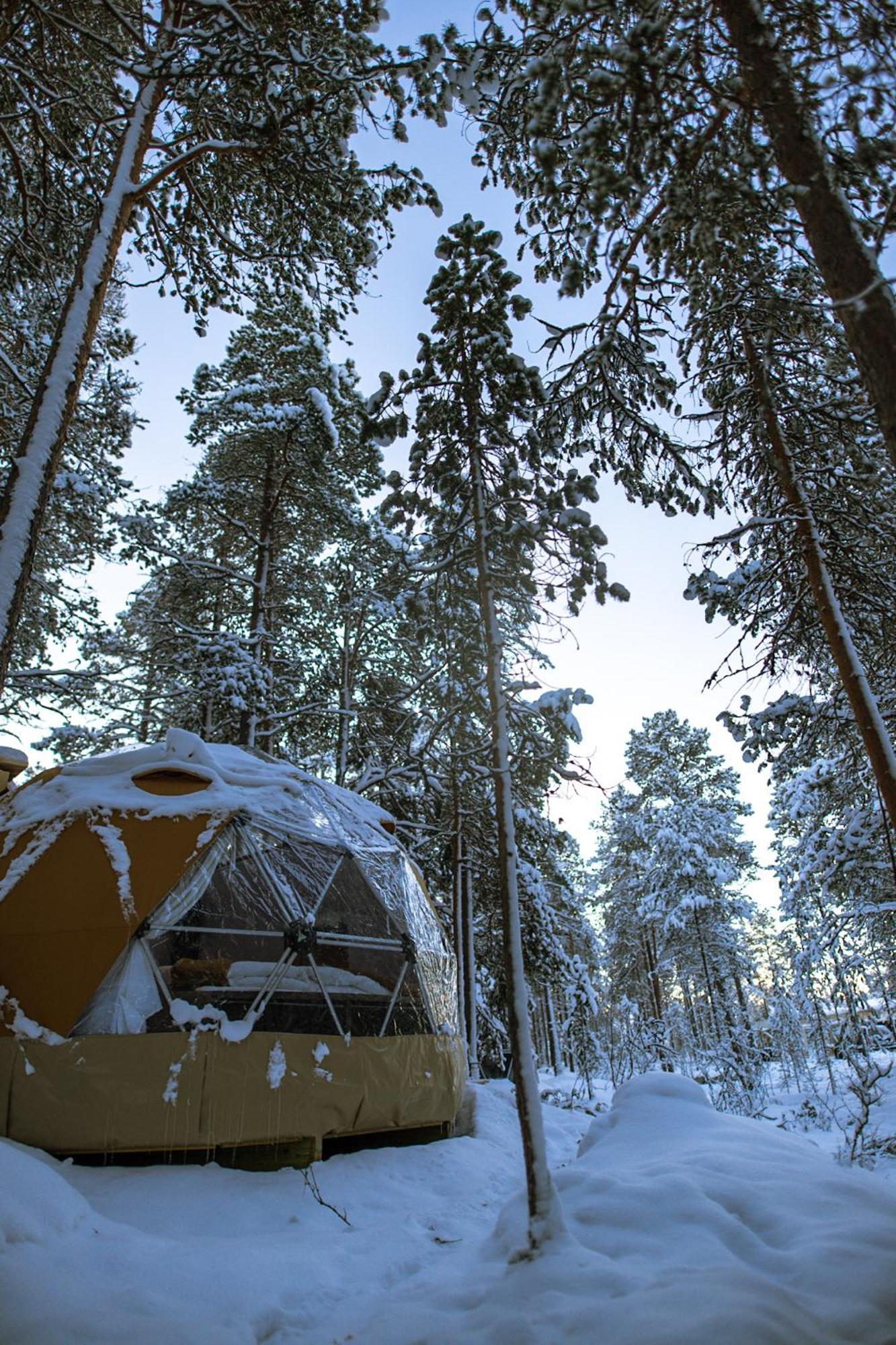 Glod Aurora Canvas Dome อัลต้า ภายนอก รูปภาพ