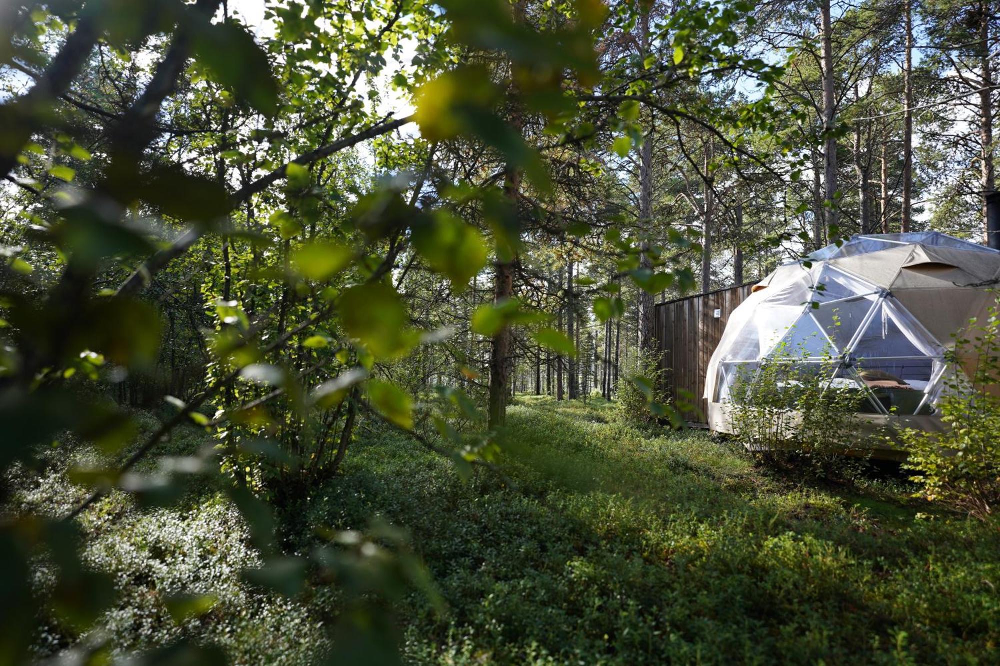 Glod Aurora Canvas Dome อัลต้า ภายนอก รูปภาพ