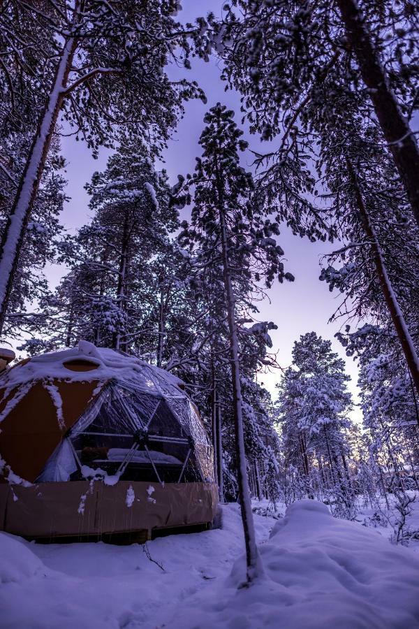 Glod Aurora Canvas Dome อัลต้า ภายนอก รูปภาพ