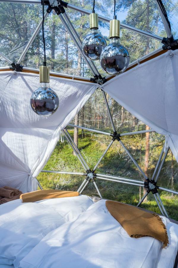 Glod Aurora Canvas Dome อัลต้า ภายนอก รูปภาพ